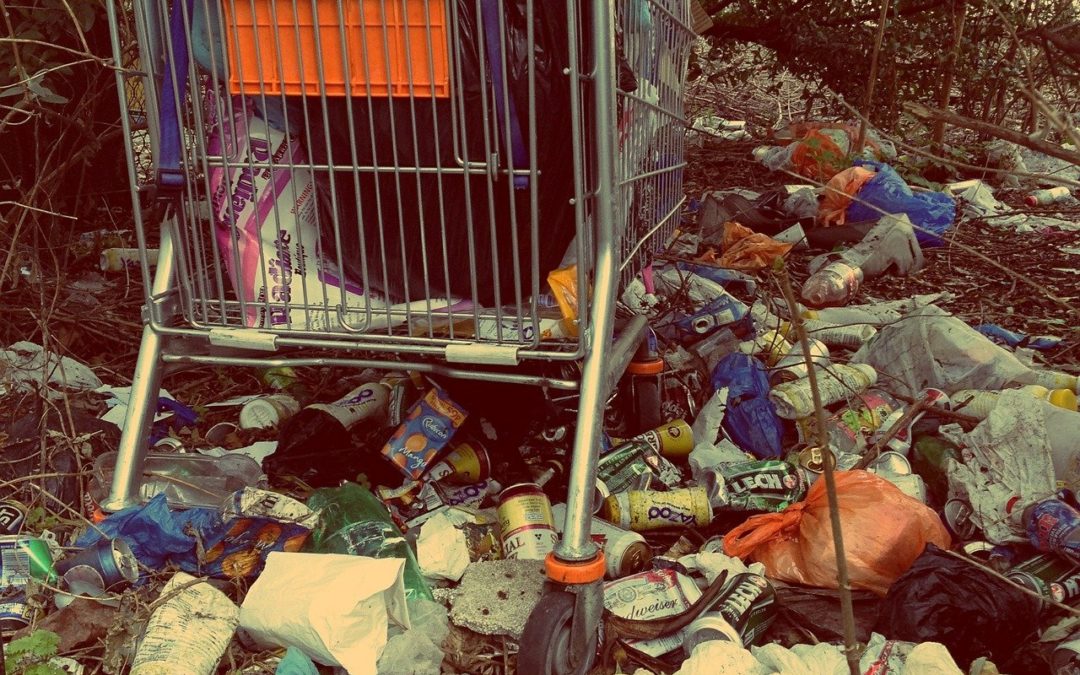 Agir durablement sur la prolifération des rats en ville
