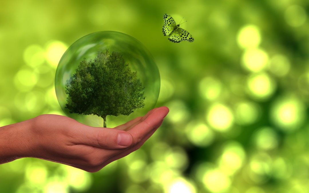 Engageons ensemble la transition écologique, sociale et démocratique