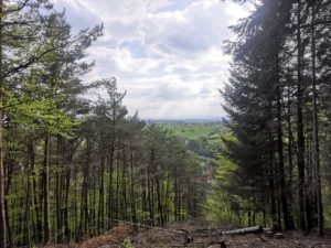 IMG_20210502_163634